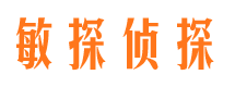 翔安市调查公司